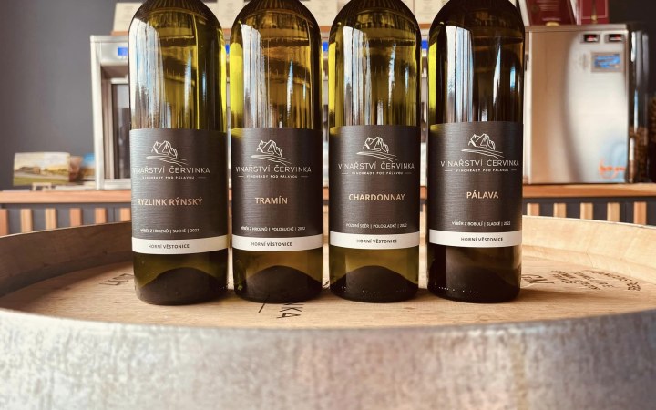 Červinka tasting with wines from hybrid grape varieties
