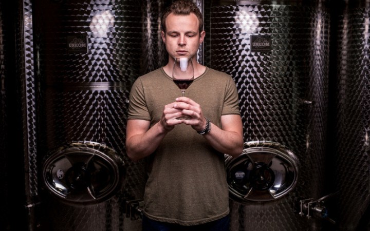 Fabig borkóstoló szerelembe esve a sauvignon blanc borokba