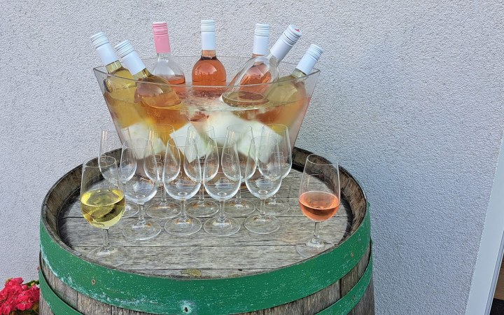 Buriánkovy wine tasting with five enchanting wines full of purity, aroma, and balance