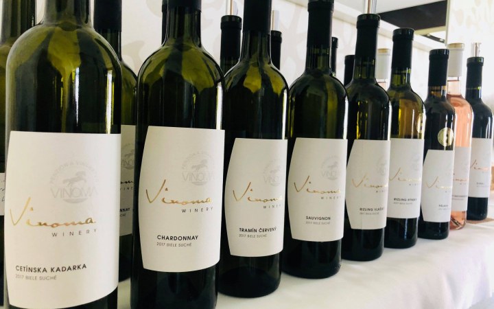 Vinoma wine tasting with terroir-reflecting wines