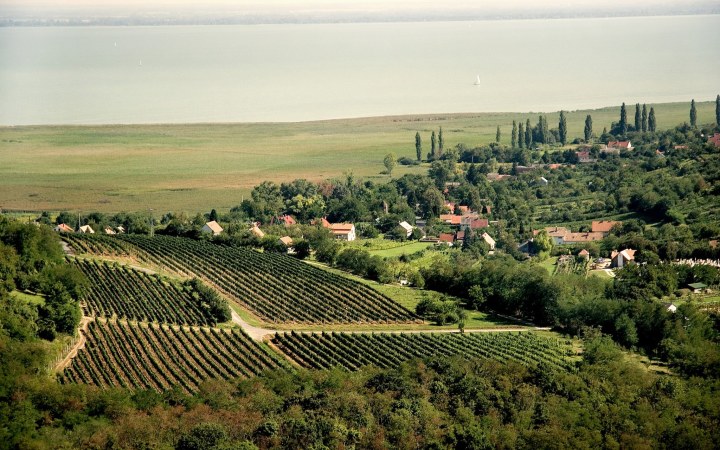 Szatmári borkóstoló Szigliget legszebb kilátásával a Vulcanus Borteraszon