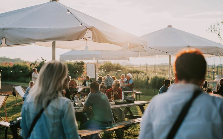 Esterházy wine tasting at a historic estate