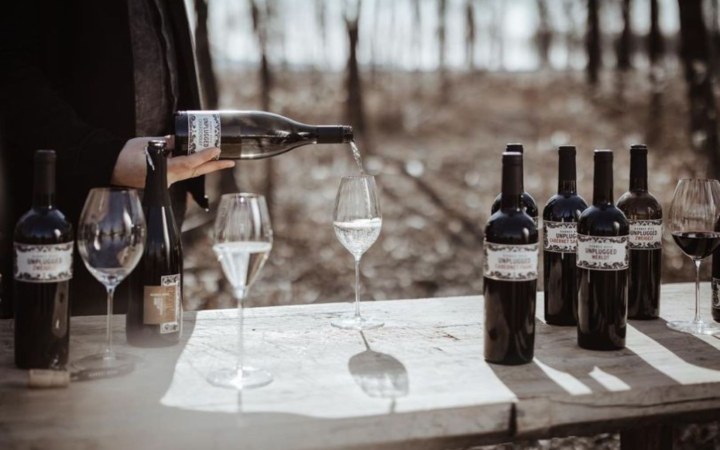 Hannes Reeh wine tasting with a selection of premium wines
