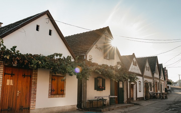 Wicker borkóstoló a tradicionális hajósi présházban