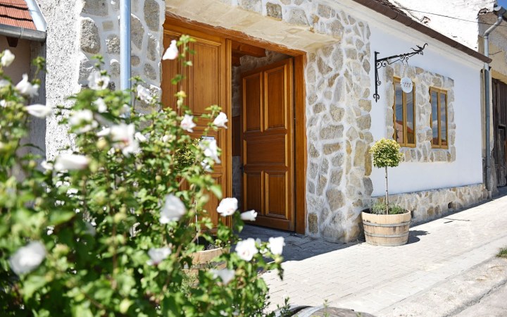 Winelife wine tasting with optional wine dinner and vineyard tour