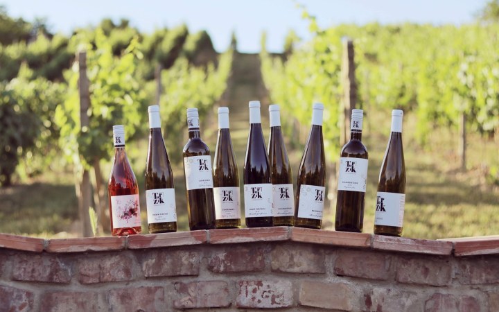 Turzík premium wine tasting at a true passion winery
