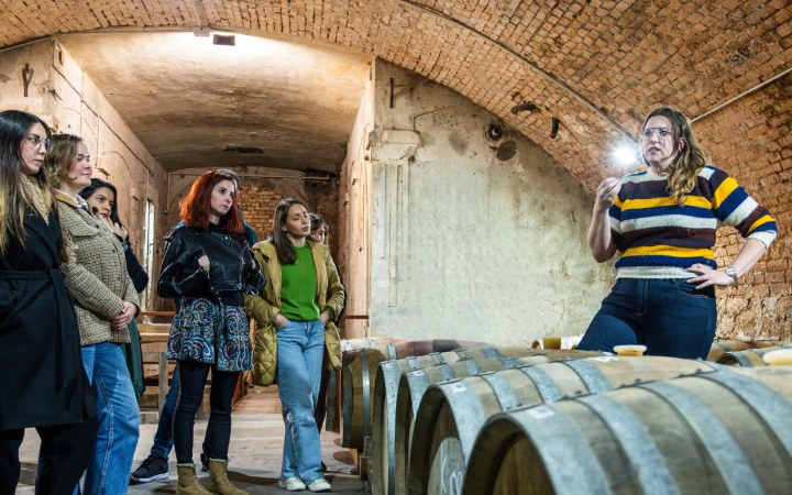 5Dudás wine tasting with wine dinner in the apartment restaurant