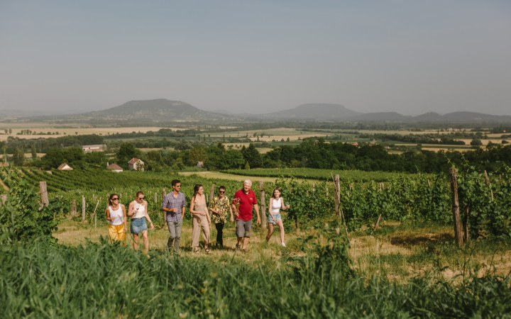 Aklan wine tasting with a view of Badacsony
