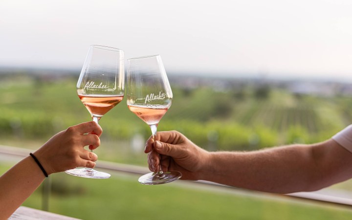 Allacher wine tasting with wines crafted with generational love