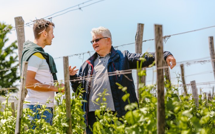 AÉS borkóstoló Csernus doktor szőlőbirtokán galéria kép