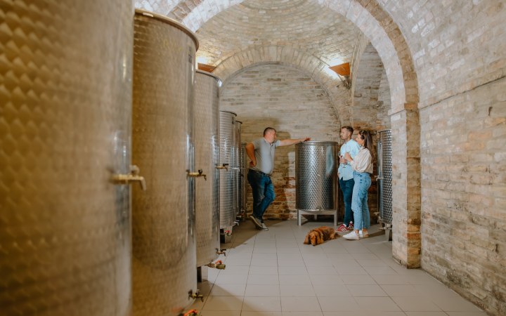 AMICIUS borkóstoló dűlőtúrával a bátorkeszi szőlőhegyen