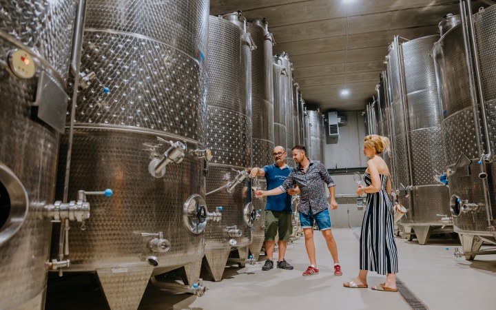 Androsics wine tasting with spectacular Lake Balaton panorama galéria kép