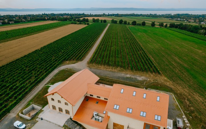Androsics wine tasting with e-bike vineyard tour galéria kép