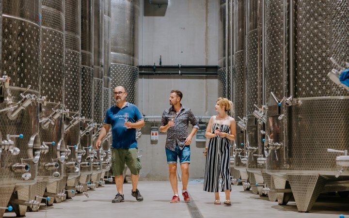 Androsics wine tasting with e-bike vineyard tour