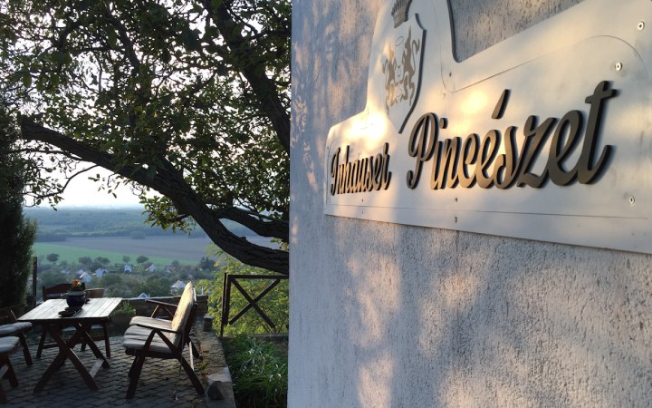 Inhauser wine tasting with chemical-free wines galéria kép