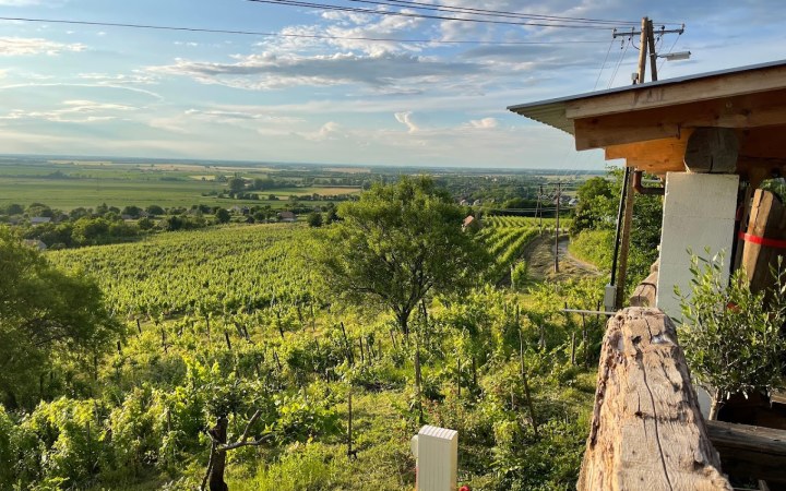 Inhauser wine tasting with a wine dinner by a chef experienced in Michelin-starred restaurants galéria kép