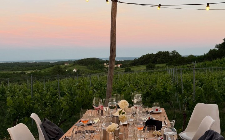 Balaton Wines Visitor Center borkóstoló 6 kimagasló balatoni borral galéria kép