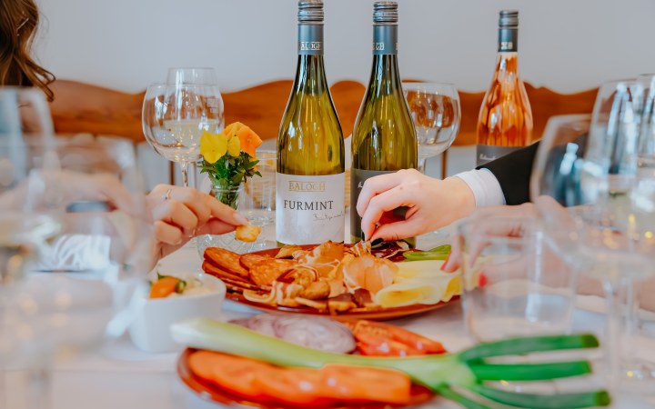 Balogh wine tasting in the award-winning Balaton cellar building