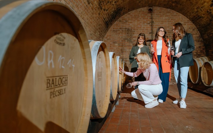 Balogh borkóstoló a díjnyertes balatoni pinceépületben galéria kép