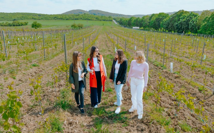 Balogh wine tasting in the award-winning Balaton cellar building