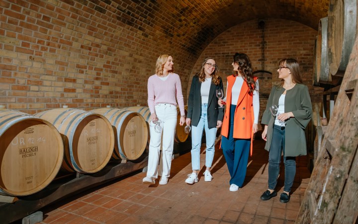 Balogh wine dinner with a main course made from their own grey cattle