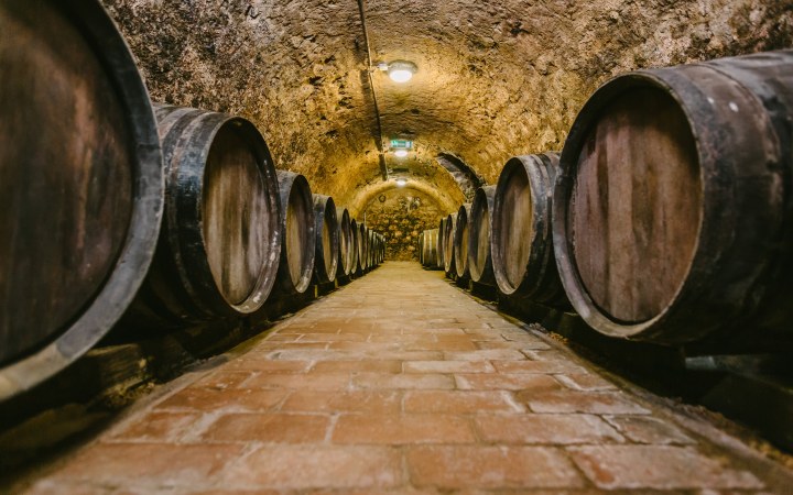 Basilicus wine tasting at the experience center