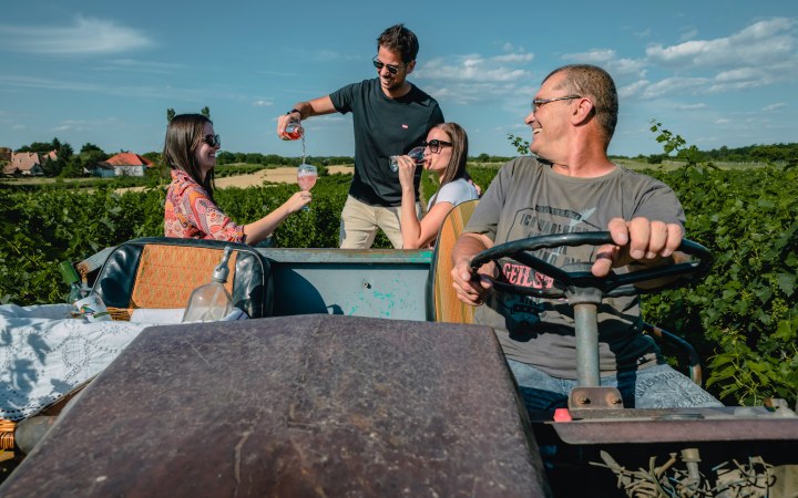 BergerVin borkóstoló csettegős kocsi túrával galéria kép