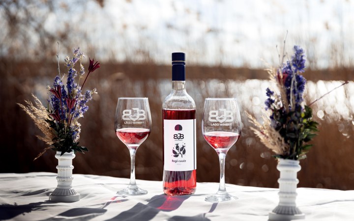 BJB Winery borkóstoló piknik tóparti légkörben galéria kép