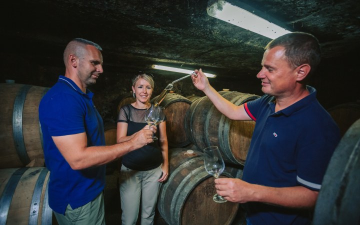 Bodrog wine tasting with sweet Tokaj wine journey galéria kép