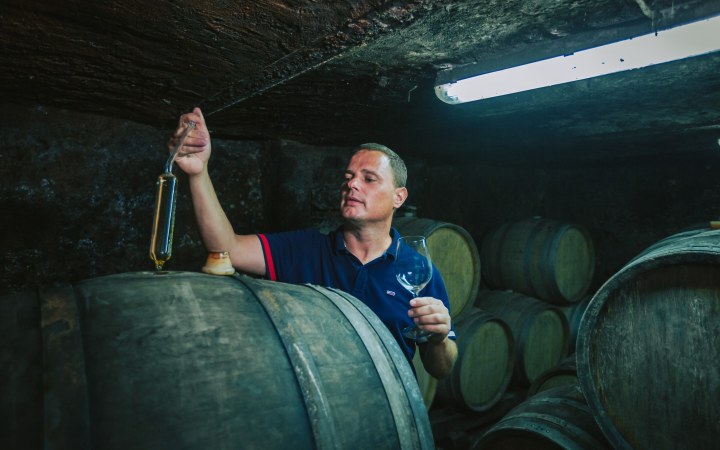 Bodrog borkóstoló egy organikus tokaji borászatnál