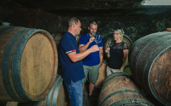 Bodrog wine tasting at an organic Tokaj winery galéria kép