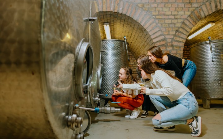Bogdán wine tasting with barrel-aged wines and cold platter galéria kép