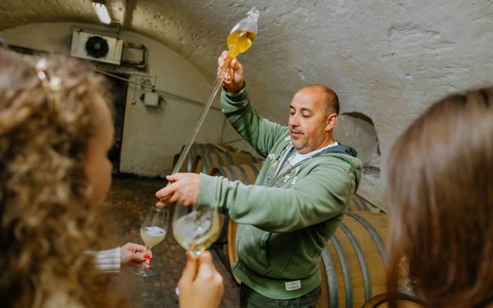 Bogdán wine tasting with barrel-aged wines and cold platter galéria kép