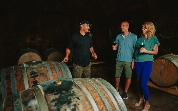Bónis-Reitter wine tasting in the historic Pálos Cellar