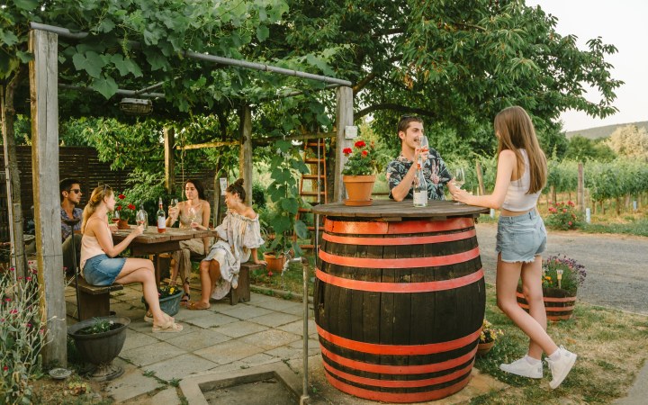 Borbély wine tasting at one of the most renowned wineries in Badacsony galéria kép
