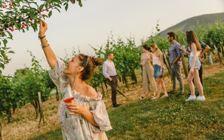 Borbély borkóstoló az egyik legismertebb badacsonyi borásznál