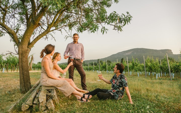 Borbély wine tasting at one of the most renowned wineries in Badacsony galéria kép