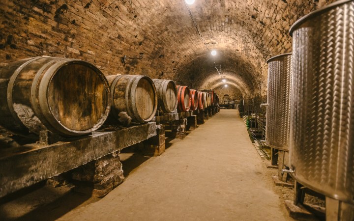 Borboléta wine tasting with vintage wines galéria kép