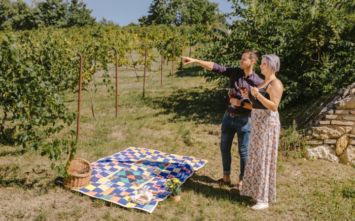 Borboléta wine tasting picnic on the vineyard hill galéria kép