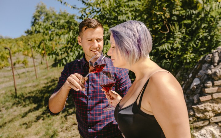 Borboléta wine tasting picnic on the vineyard hill galéria kép