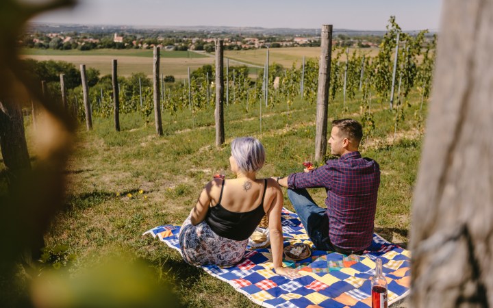 Borboléta wine tasting picnic on the vineyard hill galéria kép