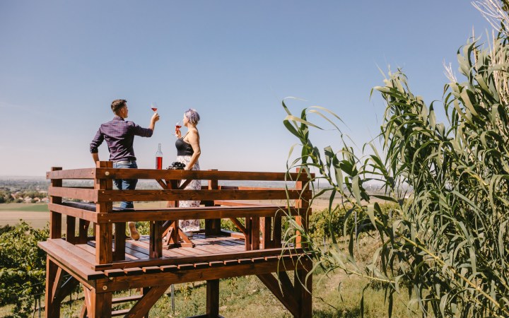 Borboléta wine tasting picnic on the vineyard hill galéria kép