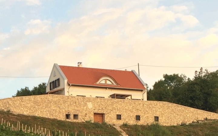 Borbora borkóstoló a kísérletező borásznál lenyűgöző kilátással a Balatonra galéria kép
