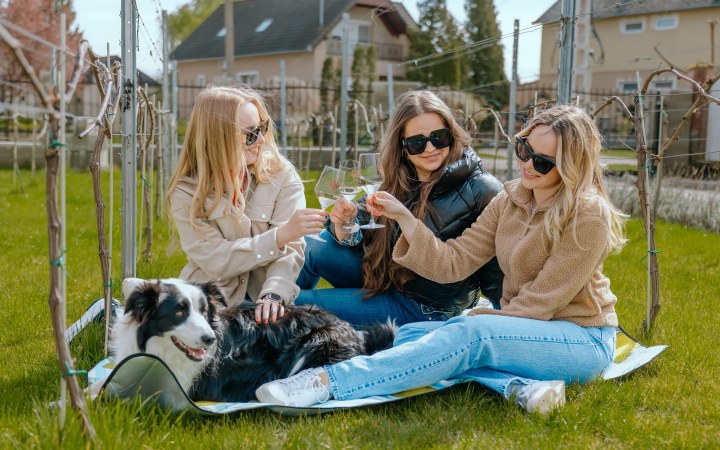 Bősze borkóstoló a vadonatúj ászári pincészetben