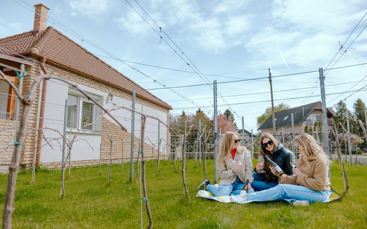 Bősze borkóstoló a vadonatúj ászári pincészetben