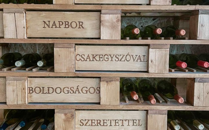 BOTANICA borkóstoló elegáns borokkal egy semmihez sem fogható nyugodt vidéki kastélyban galéria kép