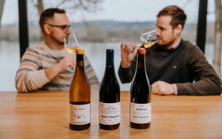 Bott Frigyes wine tasting with biodynamic natural wines