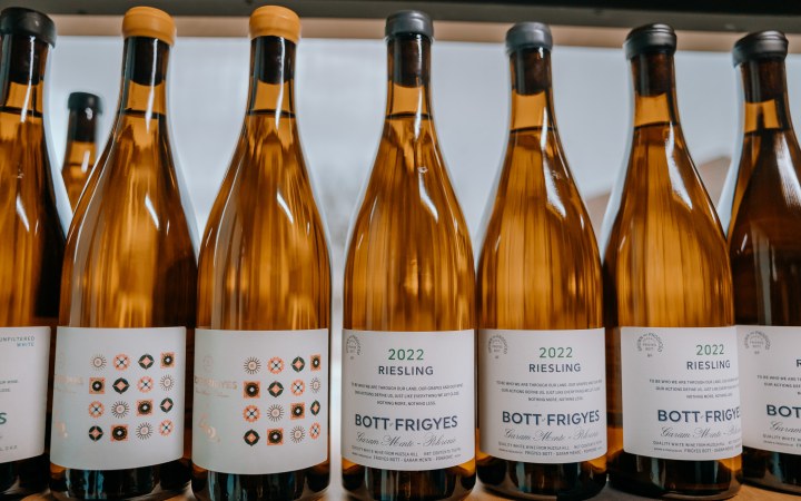Bott Frigyes wine tasting with biodynamic natural wines galéria kép