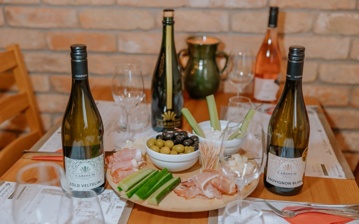 Cardium wine tasting at the end of the village cellar row galéria kép