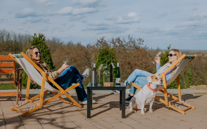 Cseri wine tasting with beautiful Pannonhalma red wines